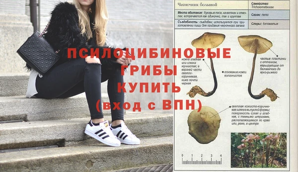 мяу мяу кристалл Армянск