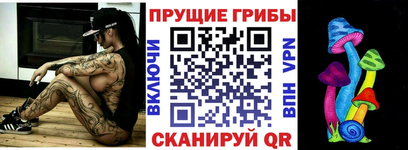 наркошоп  Починок  Псилоцибиновые грибы Psilocybe 